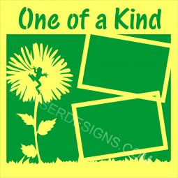 One of a Kind